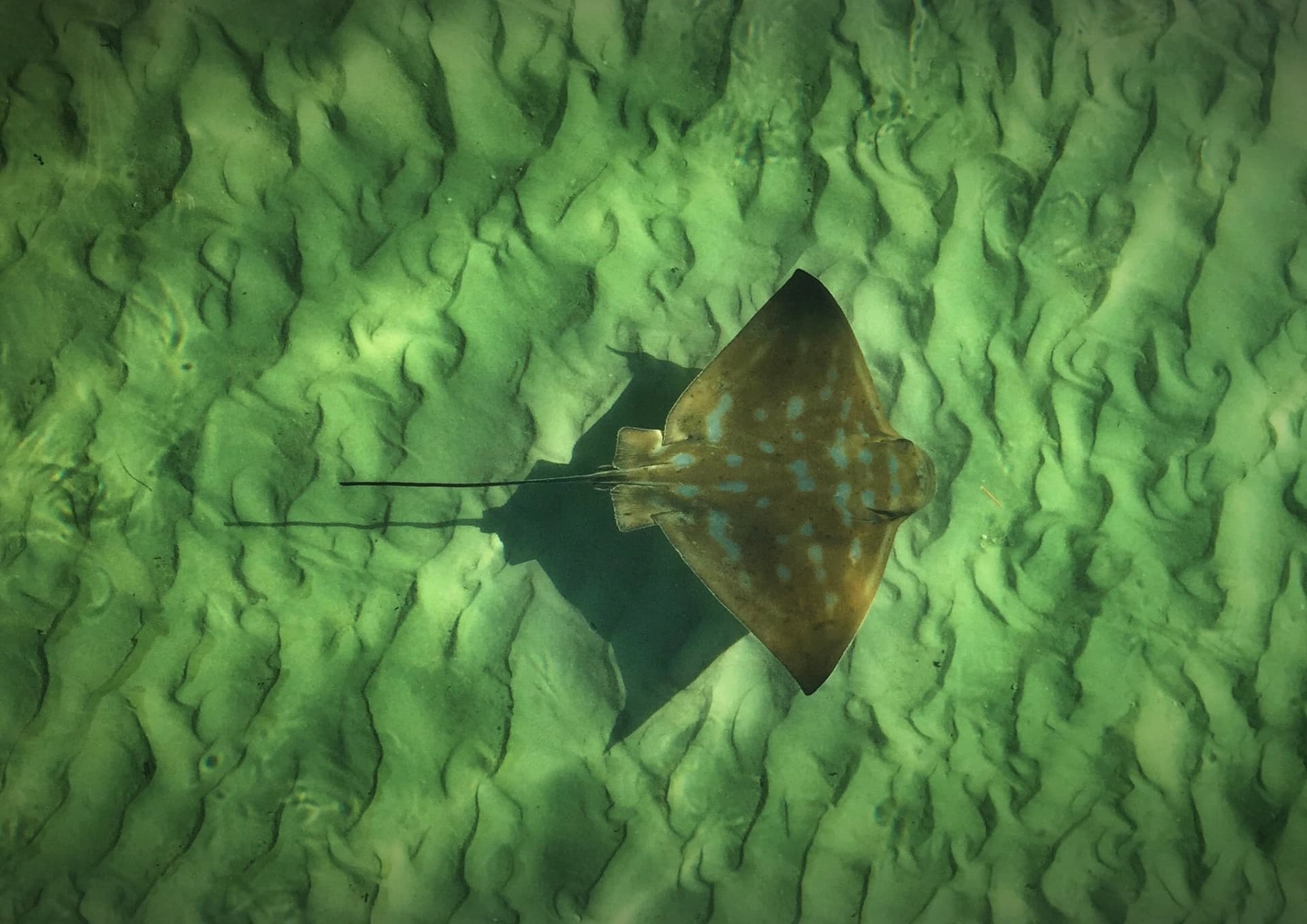WOW Wilderness - EcoCruise - image 7